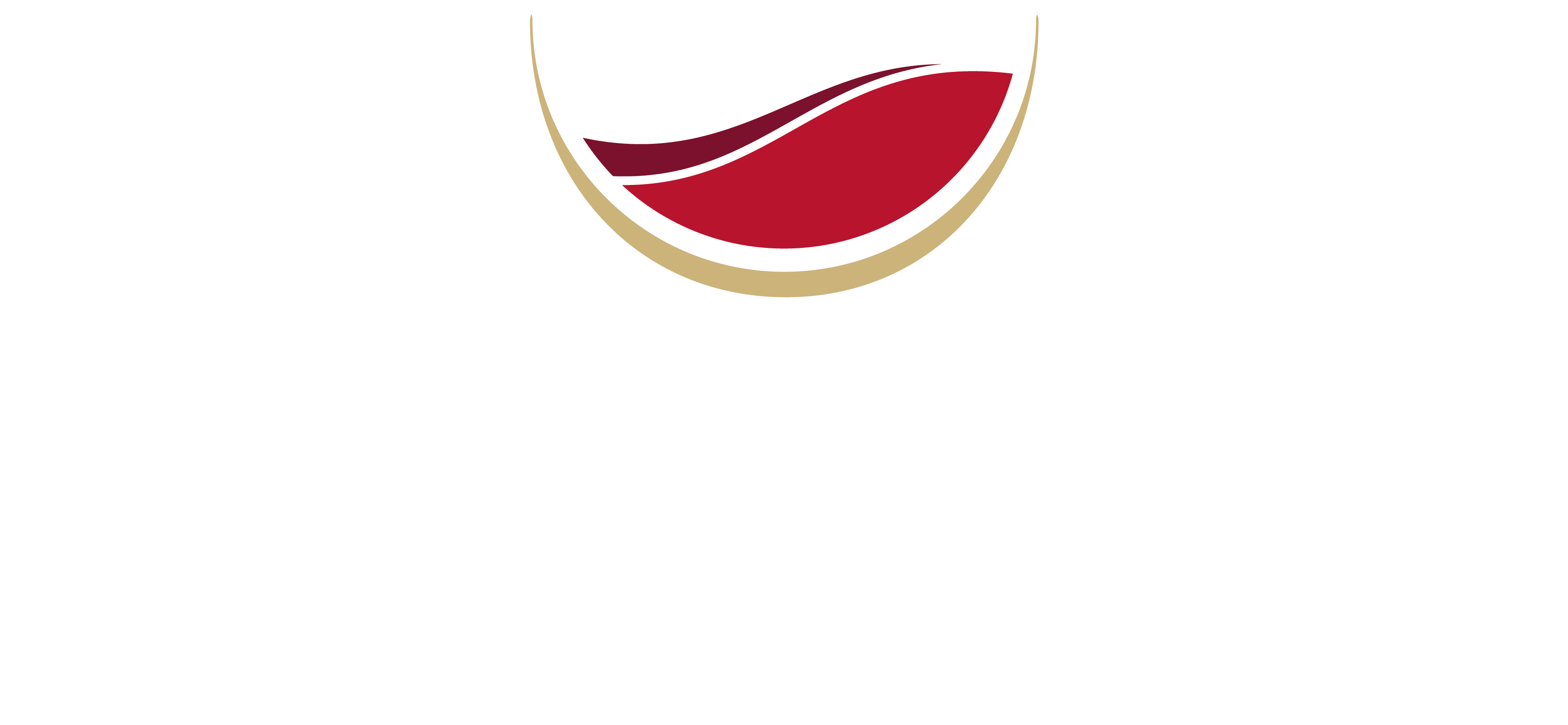 Portfolio Vinhos